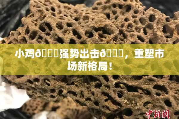 小鸡🐔强势出击🍑，重塑市场新格局！