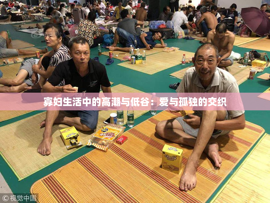 寡妇生活中的高潮与低谷：爱与孤独的交织