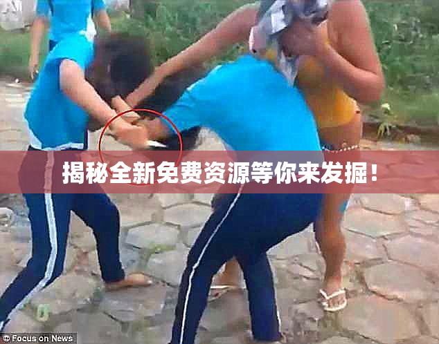 揭秘全新免费资源等你来发掘！