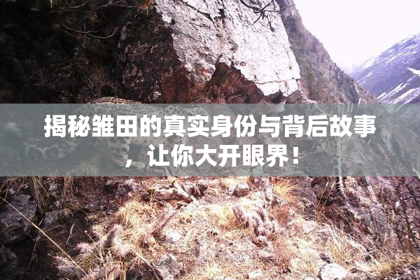 揭秘雏田的真实身份与背后故事，让你大开眼界！