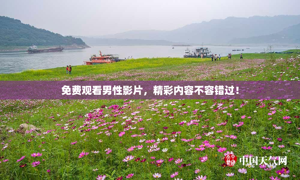 免费观看男性影片，精彩内容不容错过！