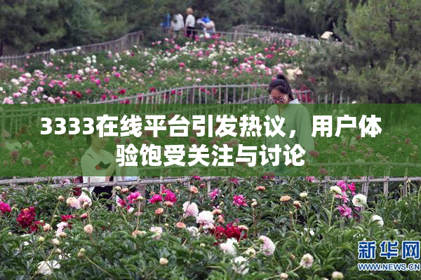 3333在线平台引发热议，用户体验饱受关注与讨论