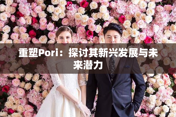 重塑Pori：探讨其新兴发展与未来潜力