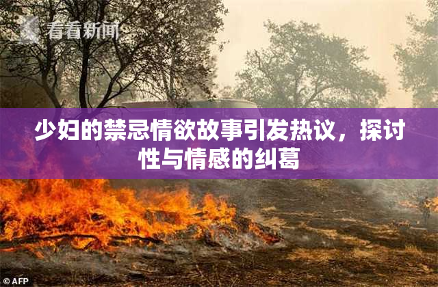 少妇的禁忌情欲故事引发热议，探讨性与情感的纠葛