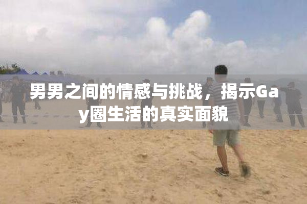 男男之间的情感与挑战，揭示Gay圈生活的真实面貌