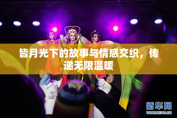 皆月光下的故事与情感交织，传递无限温暖