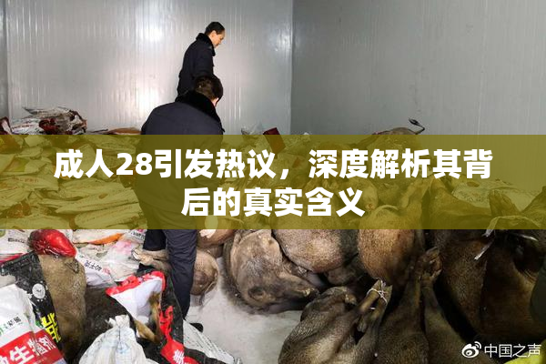 成人28引发热议，深度解析其背后的真实含义