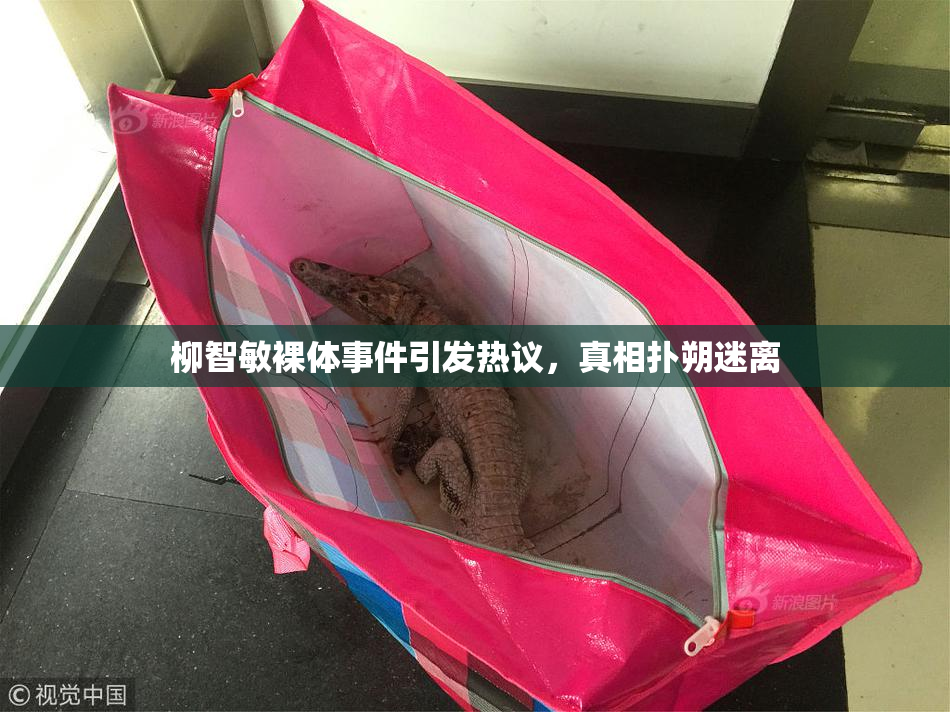 柳智敏裸体事件引发热议，真相扑朔迷离