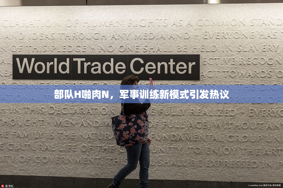 部队H啪肉N，军事训练新模式引发热议