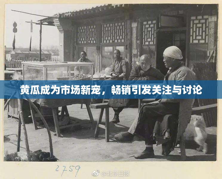 黄瓜成为市场新宠，畅销引发关注与讨论