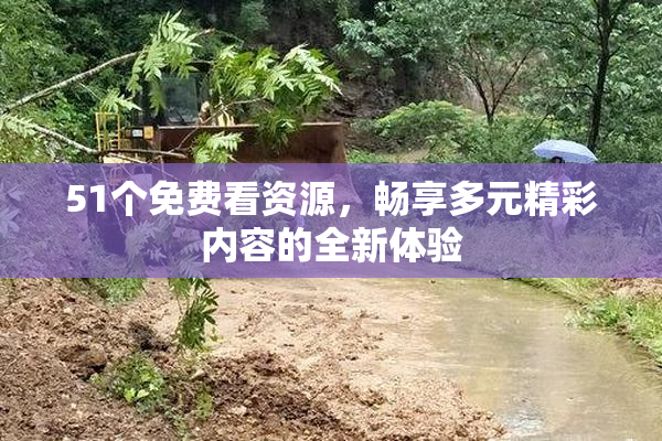51个免费看资源，畅享多元精彩内容的全新体验