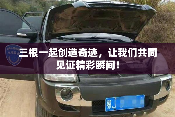 三根一起创造奇迹，让我们共同见证精彩瞬间！