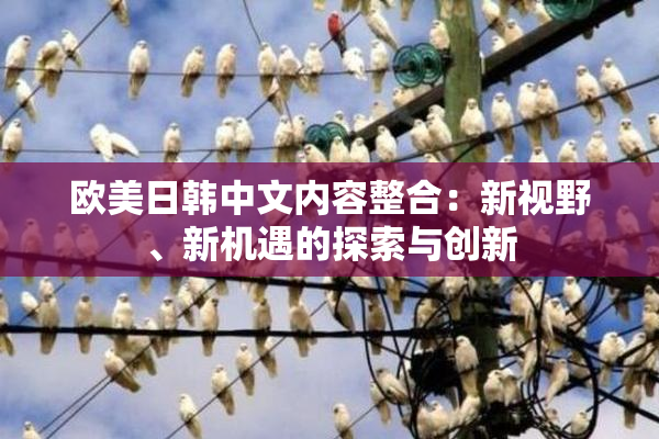 欧美日韩中文内容整合：新视野、新机遇的探索与创新