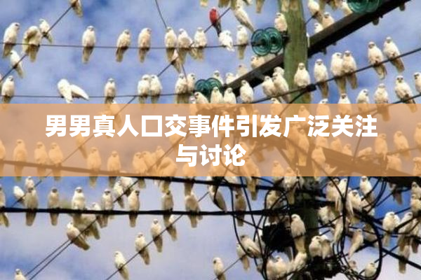 男男真人囗交事件引发广泛关注与讨论