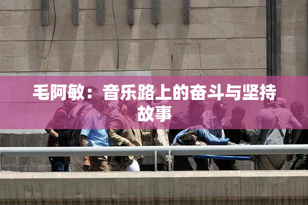 毛阿敏：音乐路上的奋斗与坚持故事