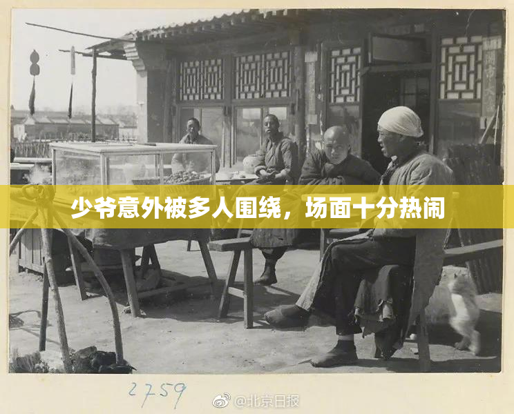 少爷意外被多人围绕，场面十分热闹