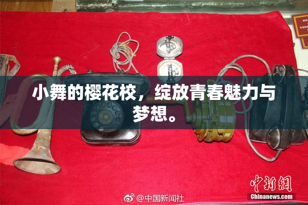 小舞的樱花校，绽放青春魅力与梦想。