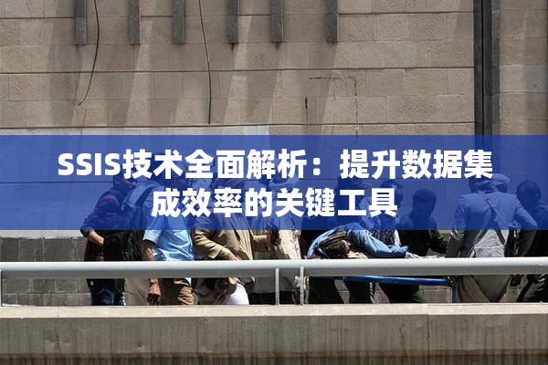 SSIS技术全面解析：提升数据集成效率的关键工具