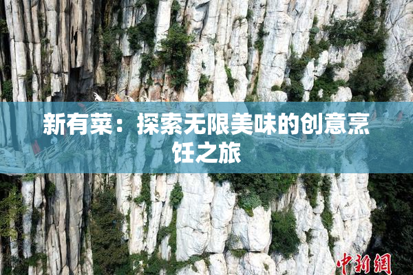 新有菜：探索无限美味的创意烹饪之旅