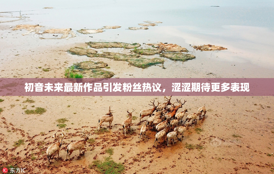 初音未来最新作品引发粉丝热议，涩涩期待更多表现