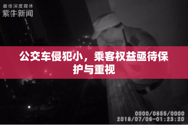 公交车侵犯小，乘客权益亟待保护与重视