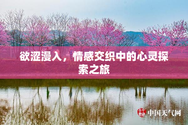 欲涩漫入，情感交织中的心灵探索之旅