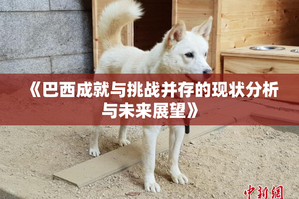《巴西成就与挑战并存的现状分析与未来展望》