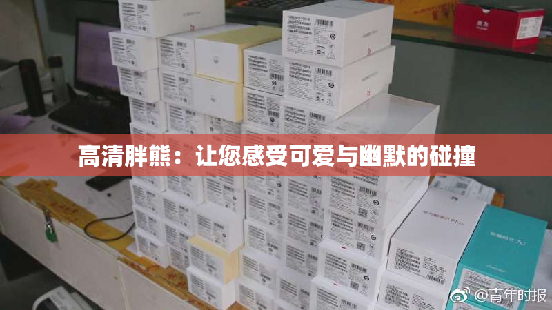 高清胖熊：让您感受可爱与幽默的碰撞