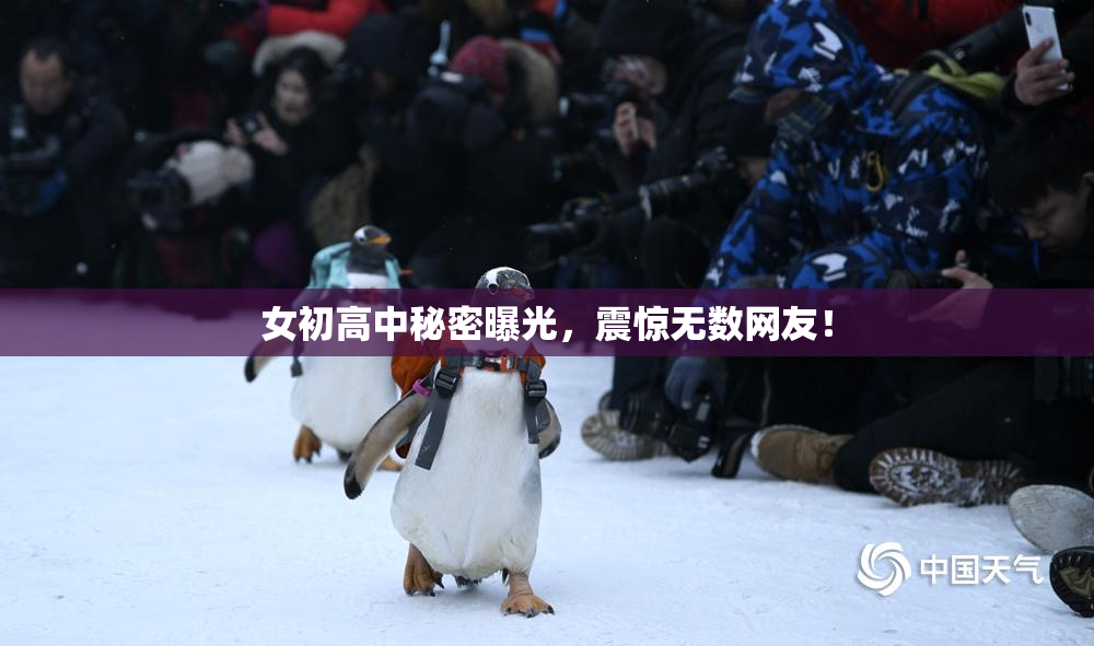 女初高中秘密曝光，震惊无数网友！