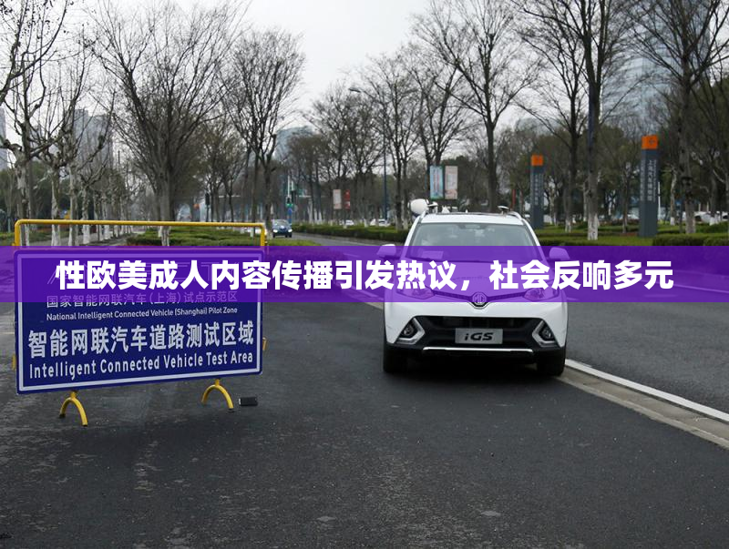 性欧美成人内容传播引发热议，社会反响多元