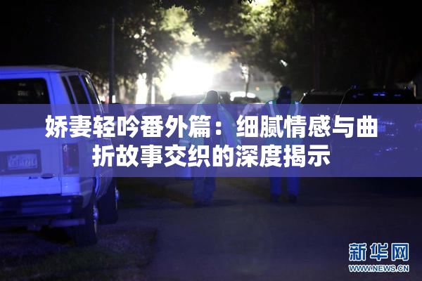 娇妻轻吟番外篇：细腻情感与曲折故事交织的深度揭示