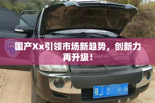 国产Xx引领市场新趋势，创新力再升级！