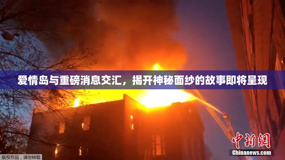 爱情岛与重磅消息交汇，揭开神秘面纱的故事即将呈现