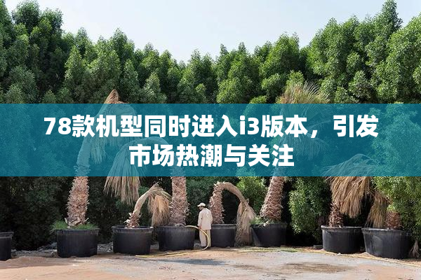 78款机型同时进入i3版本，引发市场热潮与关注
