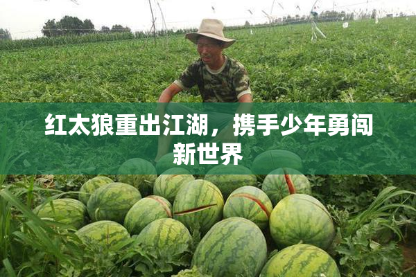 红太狼重出江湖，携手少年勇闯新世界