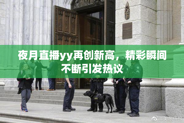 夜月直播yy再创新高，精彩瞬间不断引发热议