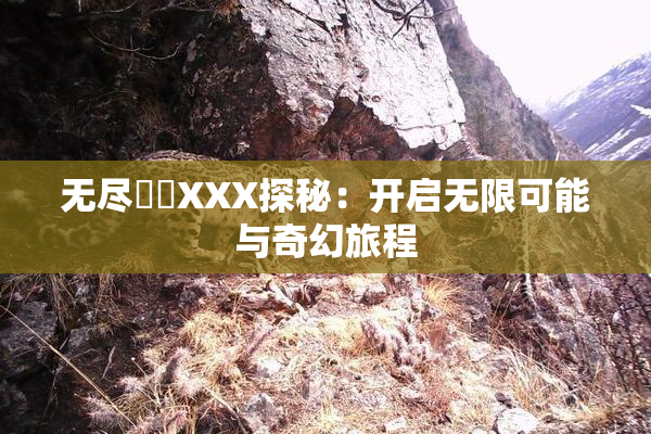 无尽❌‌XXX探秘：开启无限可能与奇幻旅程
