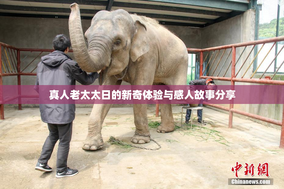 真人老太太日的新奇体验与感人故事分享