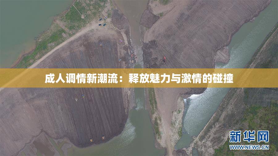 成人调情新潮流：释放魅力与激情的碰撞