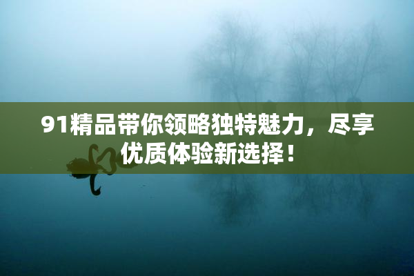 91精品带你领略独特魅力，尽享优质体验新选择！