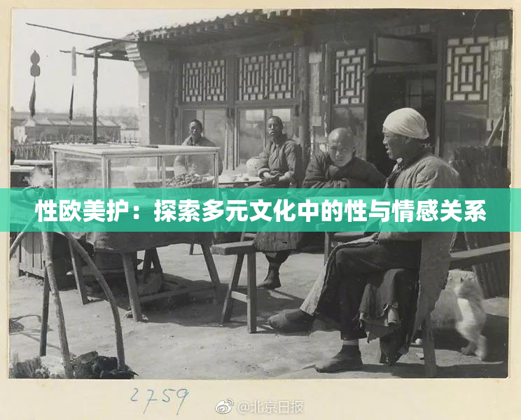 性欧美护：探索多元文化中的性与情感关系