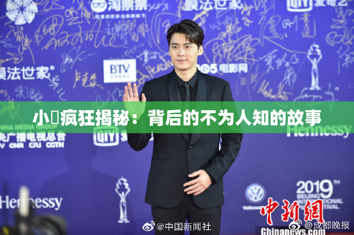 小泬疯狂揭秘：背后的不为人知的故事