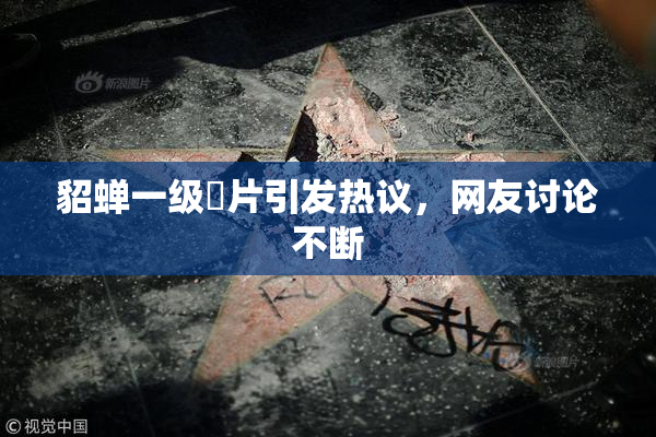 貂蝉一级婬片引发热议，网友讨论不断