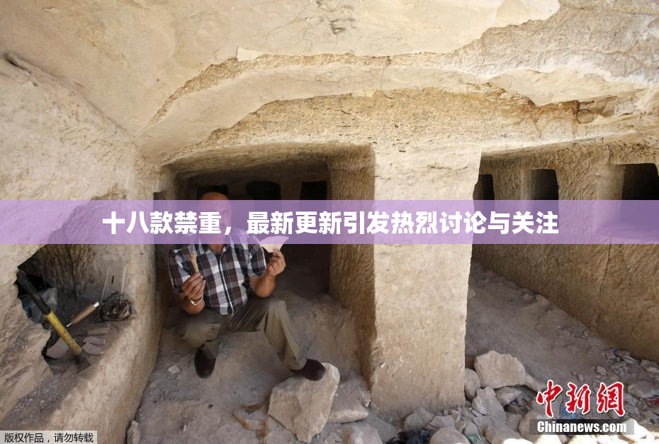 十八款禁重，最新更新引发热烈讨论与关注