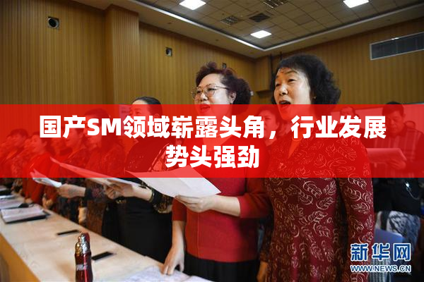 国产SM领域崭露头角，行业发展势头强劲