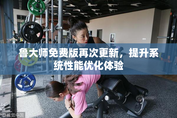 鲁大师免费版再次更新，提升系统性能优化体验