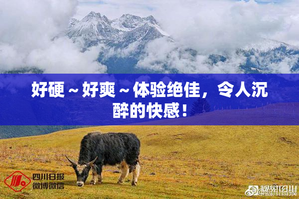 好硬～好爽～体验绝佳，令人沉醉的快感！