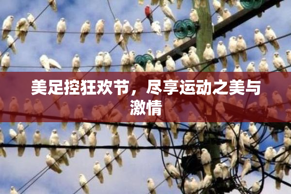 美足控狂欢节，尽享运动之美与激情