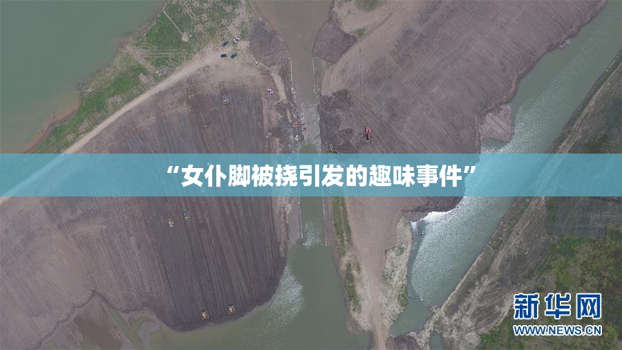 “女仆脚被挠引发的趣味事件”