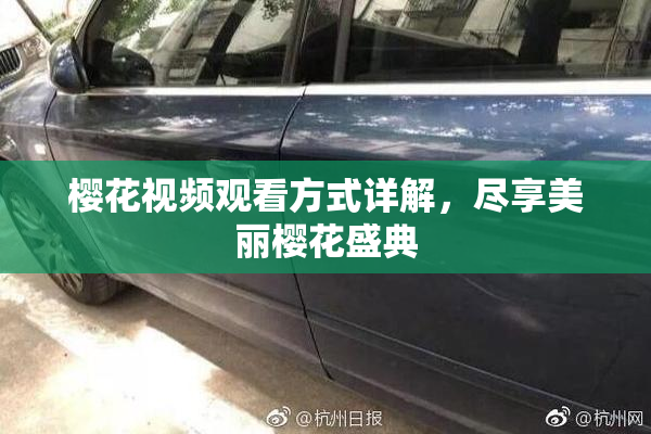 樱花视频观看方式详解，尽享美丽樱花盛典